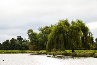 Scenic view of lake against cloudy sky