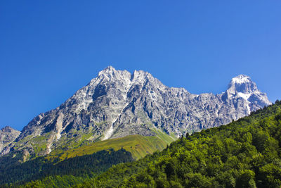 Mountain landscape of ushba and beautiful view in georgia. forest and alpine zone.