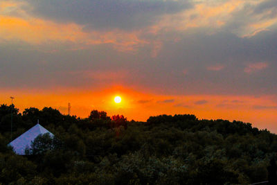 Silhouette trees on field against orange sky