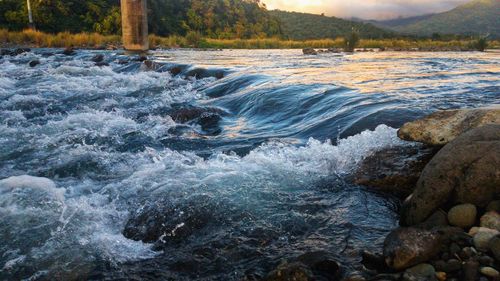 Scenic view of waterfall in forest