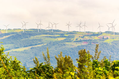 Wind turbines on land against sky