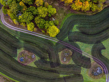 Aerial view of grassy landscape