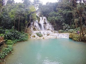 Scenic view of waterfall in forest