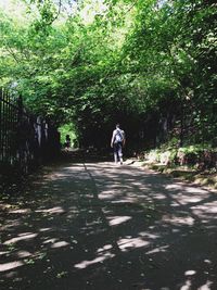 Rear view of people walking on footpath