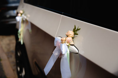 Close-up of white flowers on table