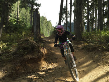 People riding bicycle in forest