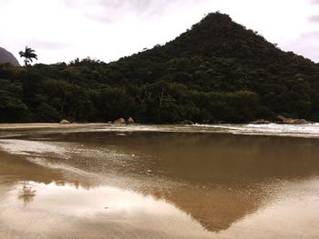 Scenic view of beach against sky