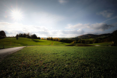 Scenic view of field against sky