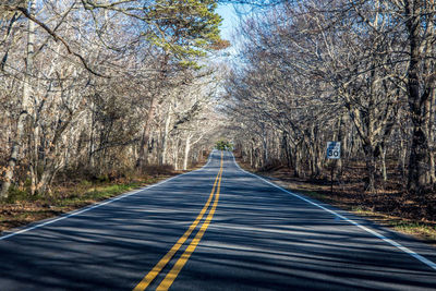 Road amidst trees against sky