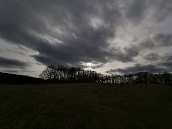 Trees on field against sky