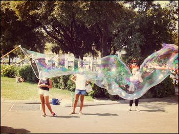 People against multi colored trees