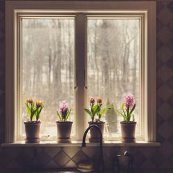 Flower vase on window sill