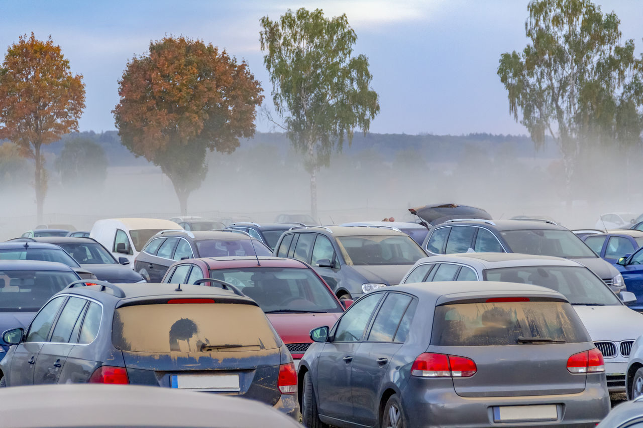 VEHICLES ON ROAD AGAINST TREES