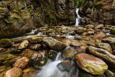 Scenic view of waterfall in forest