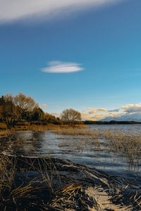 Scenic view of river against blue sky