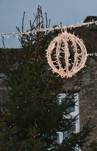 Low angle view of christmas tree at night