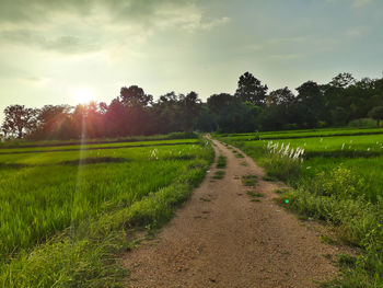 Scenic view of land against sky