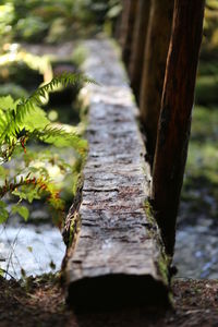 Close-up of wooden door