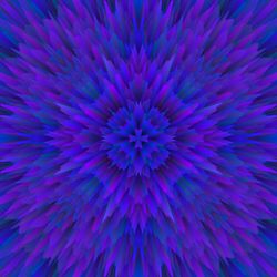 Full frame shot of purple flower