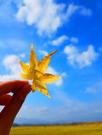 Close-up of hand holding dry maple leaf against sky