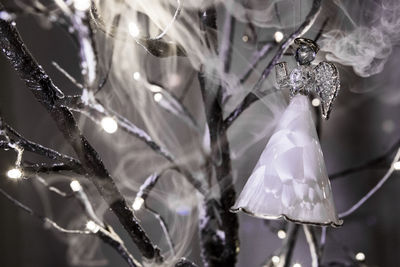 Close-up of christmas decoration hanging on plant