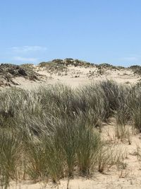 Scenic view of land against clear blue sky