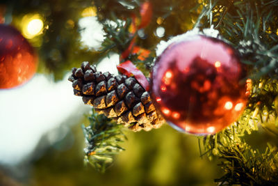 Close-up of christmas decorations hanging on tree