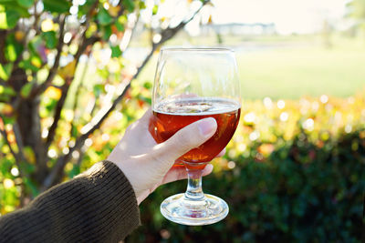 Close-up of hand holding drink