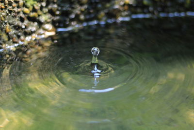 High angle view of splashing water in lake