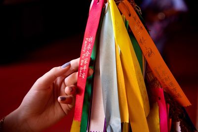 Midsection of person holding multi colored umbrella