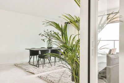 Through doorway of spacious lounge room with potted plants and wooden table placed on carpet in apartment in minimal style