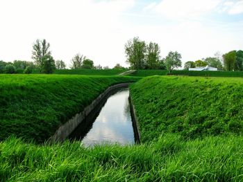 Scenic view of canal amidst field against sky