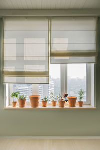 Terracotta pots on a large bright window.