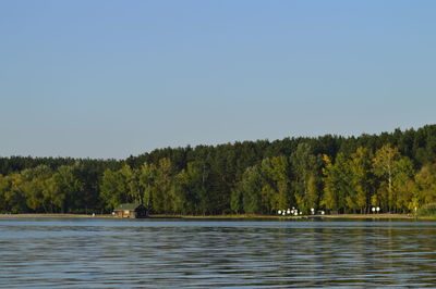 Scenic view of lake in forest against clear sky