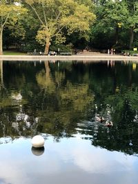 View of ducks swimming in lake