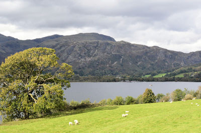 Scenic view of landscape against sky