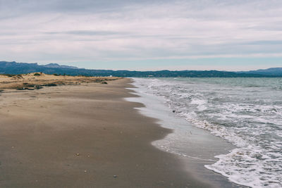 Lonely beach in the delta del ebro, tarragona, spain. the day is cloudy and windy.