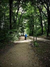 Rear view of man walking on road in forest