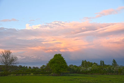 Scenic view of field against sky during sunset