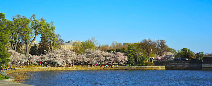 Scenic view of river against clear blue sky