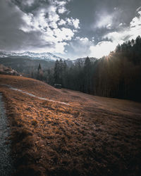 Scenic view of field against sky