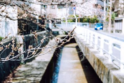 Footbridge over canal