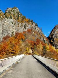 Road amidst trees against sky during autumn