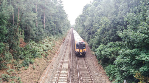 Train amidst trees against sky