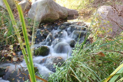 Stream flowing through rocks