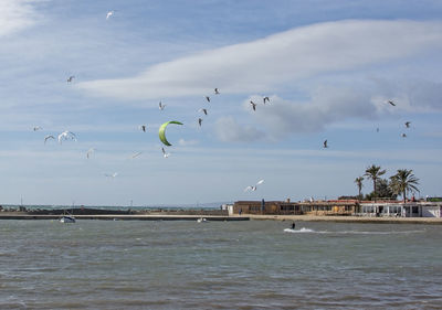 Birds flying over sea against sky