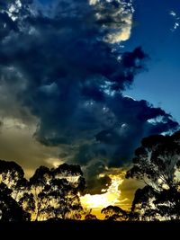 Low angle view of silhouette trees against dramatic sky