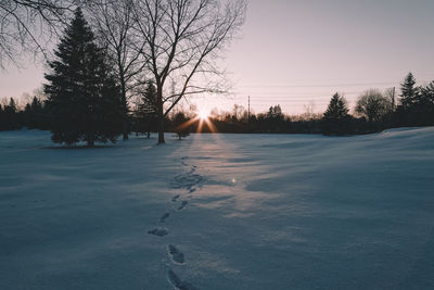 Bare trees on frozen landscape against sky during sunset