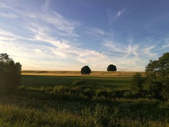 Scenic view of field against sky