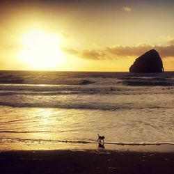 Silhouette rocks on beach against sky during sunset